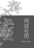 《南城有雨》