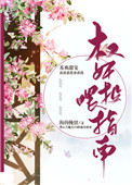 《权奸投喂指南》