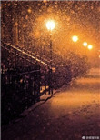《在暴雪时分》