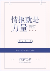 《[综英美]情报就是力量》