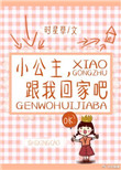 小公主，跟我回家吧小说