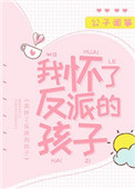 《我怀了反派的孩子》小说