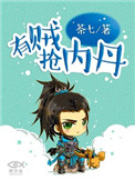 《有贼抢内丹》