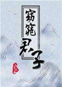 《窈窕君子》小说