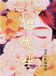 错先生小说