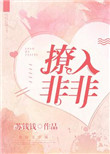 撩入非非小说