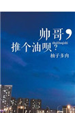 帅哥，推个油呗？小说