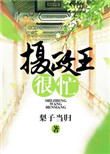 《摄政王很忙》