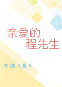 亲爱的程先生小说