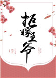 《拒嫁王爷》