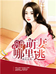 总裁夜敲门：萌妻哪里逃图片