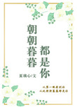 朝朝暮暮都是你小说
