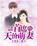 入骨暖婚：首席的天价萌妻图片
