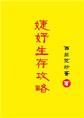 《婕妤生存攻略》小说