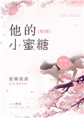 他的小蜜糖小说