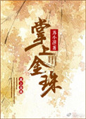 《掌上金珠》小说