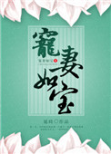 《宠妻如宝》