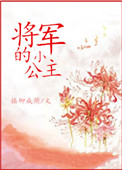《将军的小公主》小说