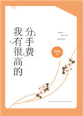《我有很高的分手费》