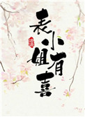 《表小姐有喜》