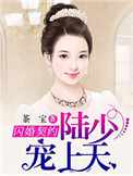 《闪婚契约：陆少宠妻上天》