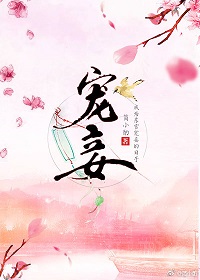 《宠妾（作者：简小酌）》