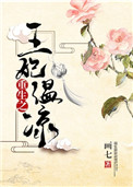 《重生之王妃温凉》