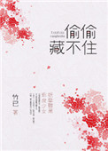 《偷偷藏不住》