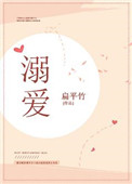 溺爱小说