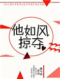 《他如风掠夺》