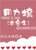 用力撩[古穿今]小说