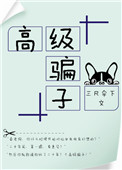 高级骗子[娱乐圈]小说
