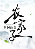 农家子小说