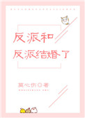 反派和反派结婚了[穿书]小说