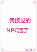 我撩过的NPC活了小说