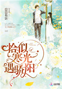 《恰似寒光遇骄阳》