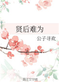 贤后难为小说