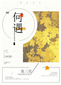何遇小说