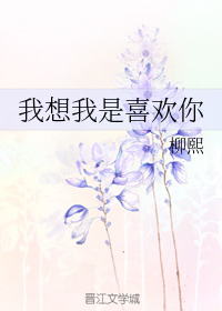 《我想我是喜欢你》