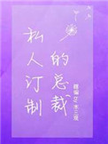 私人订制的总裁小说