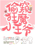 《日常偷窥的小王爷》