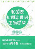 和国家机器恋爱的正确姿势小说