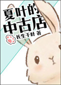 《夏叶的中古店》