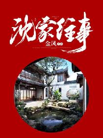《沈家往事》