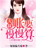 《娇妻如魅，大叔账要慢慢算》