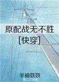 《原配战无不胜[快穿]》