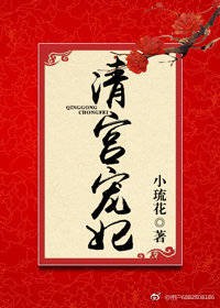 《清宫宠妃》小说