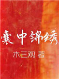 《囊中锦绣》