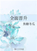 《全面晋升》