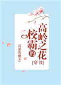 《校霸的高岭之花[穿书]》